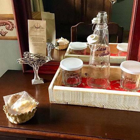 Casa Tia Anita, Hotel Boutique Mascota Ngoại thất bức ảnh