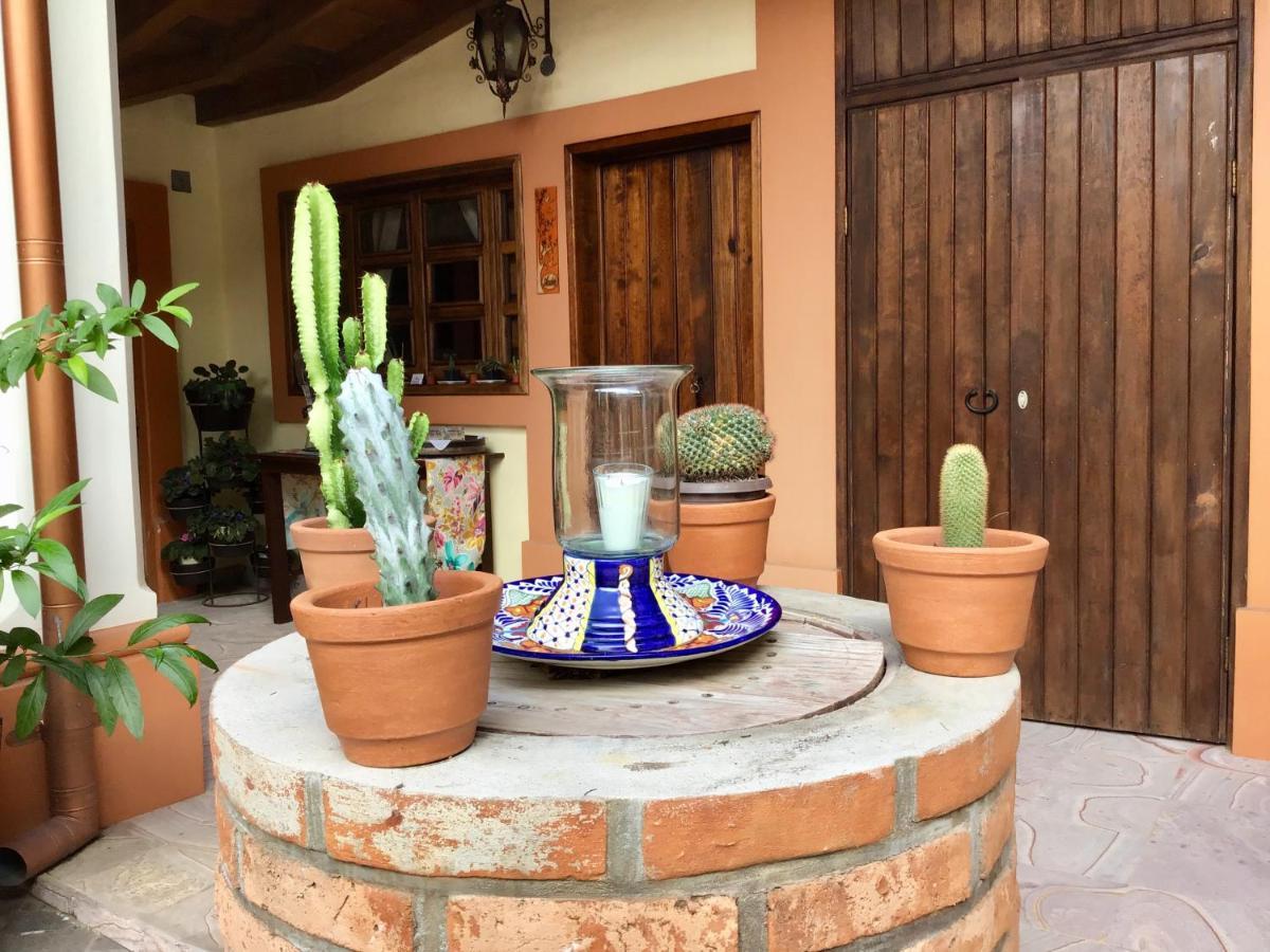 Casa Tia Anita, Hotel Boutique Mascota Ngoại thất bức ảnh