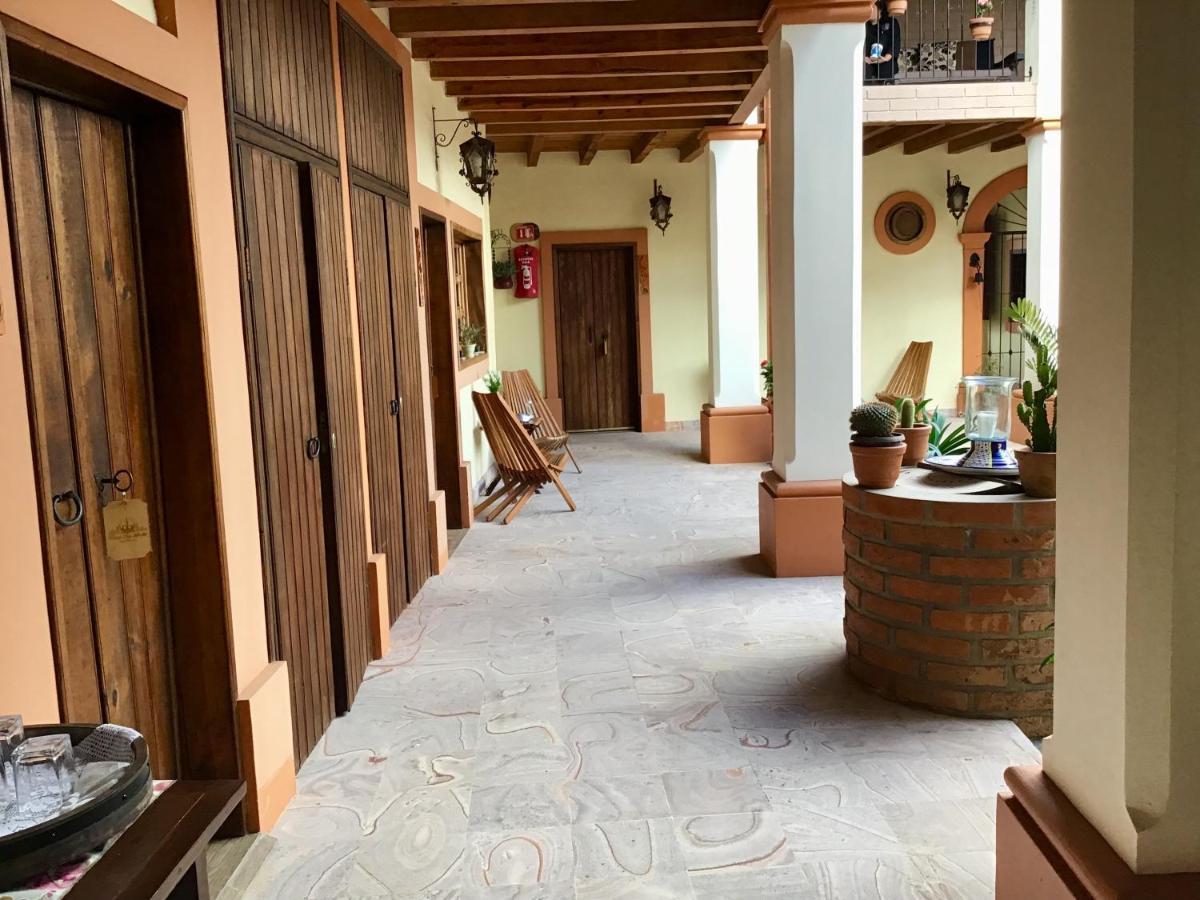 Casa Tia Anita, Hotel Boutique Mascota Ngoại thất bức ảnh