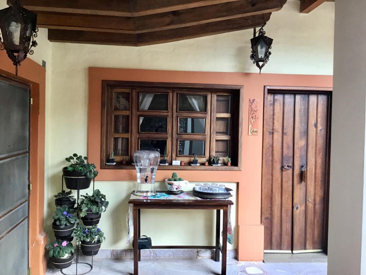 Casa Tia Anita, Hotel Boutique Mascota Ngoại thất bức ảnh